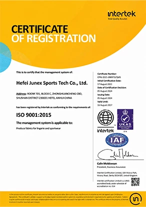 ISO 9001